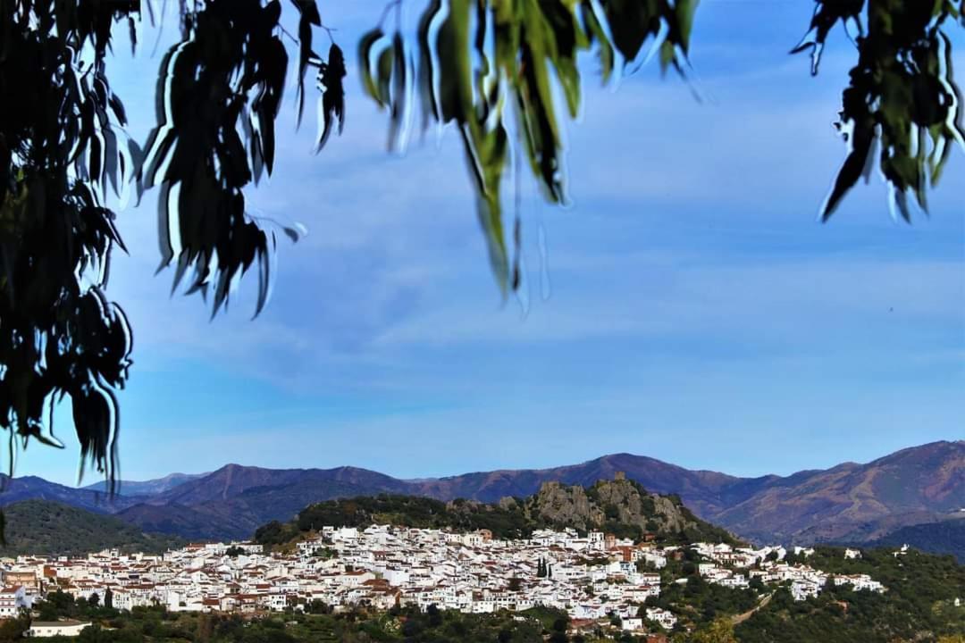 Apartment Sierras De Gaucin