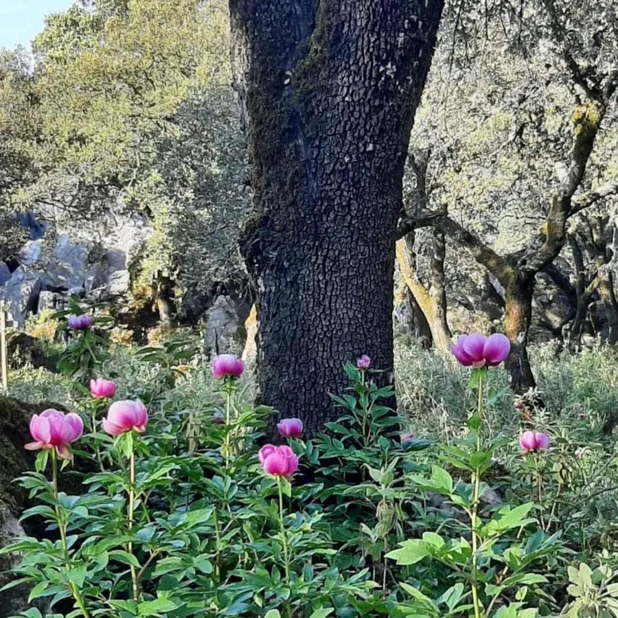Sierras De Gaucin
