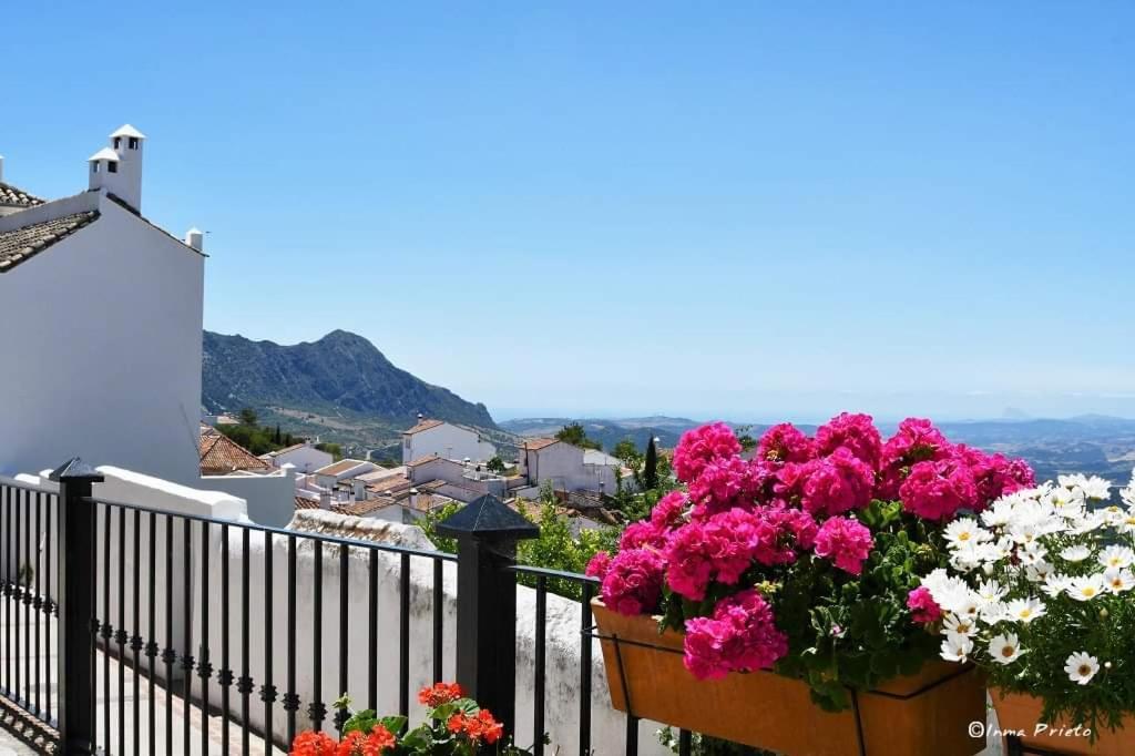 Sierras De Apartment